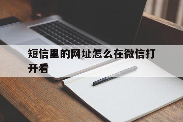 短信里的网址怎么在微信打开看 短信里的网址怎么在微信打开看