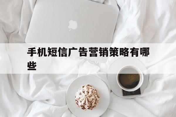 手机短信广告营销策略有哪些 手机短信广告营销策略有哪些