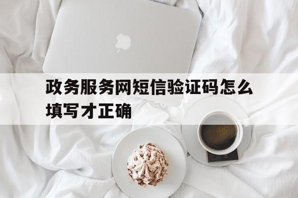 政务服务网短信验证码怎么填写才正确 政务服务网短信验证码怎么填写才正确