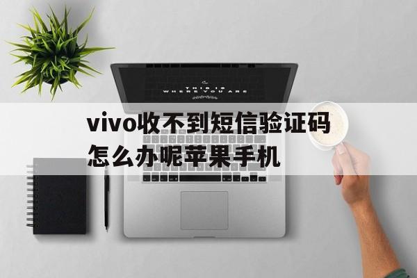 vivo收不到短信验证码怎么办呢苹果手机 vivo收不到短信验证码怎么办呢苹果手机