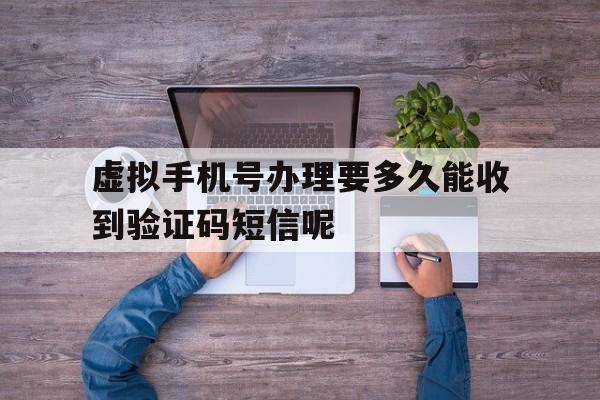 虚拟手机号办理要多久能收到验证码短信呢 虚拟手机号办理要多久能收到验证码短信呢