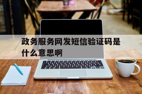 政务服务网发短信验证码是什么意思啊 政务服务网发短信验证码是什么意思啊