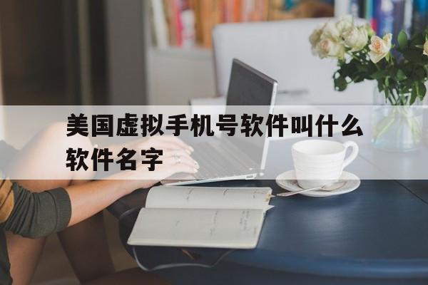 美国虚拟手机号软件叫什么软件名字 美国虚拟手机号软件叫什么软件名字