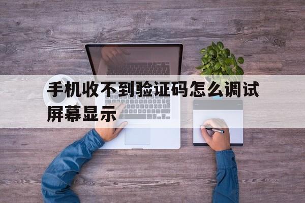 手机收不到验证码怎么调试屏幕显示 手机收不到验证码怎么调试屏幕显示