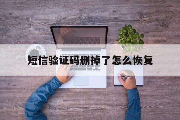 短信验证码删掉了怎么恢复 短信验证码删掉了怎么恢复