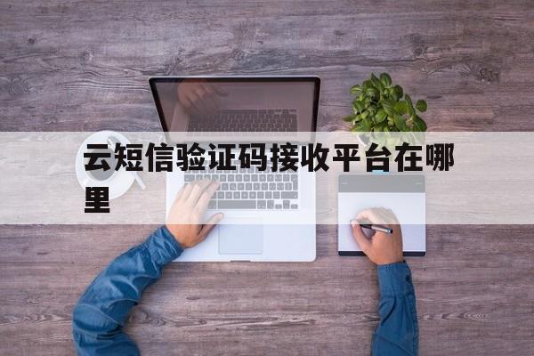 云短信验证码接收平台在哪里 云短信验证码接收平台在哪里
