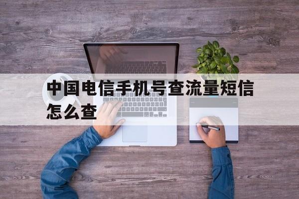 中国电信手机号查流量短信怎么查 中国电信手机号查流量短信怎么查
