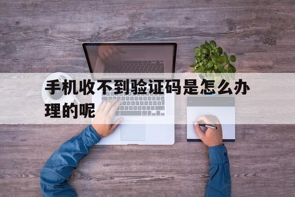 手机收不到验证码是怎么办理的呢 手机收不到验证码是怎么办理的呢
