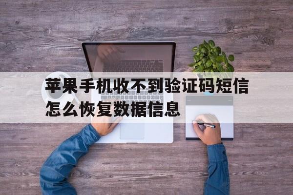 苹果手机收不到验证码短信怎么恢复数据信息 苹果手机收不到验证码短信怎么恢复数据信息