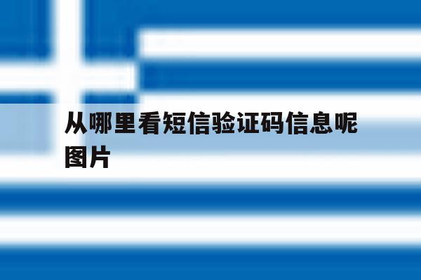 从哪里看短信验证码信息呢图片 从哪里看短信验证码信息呢图片