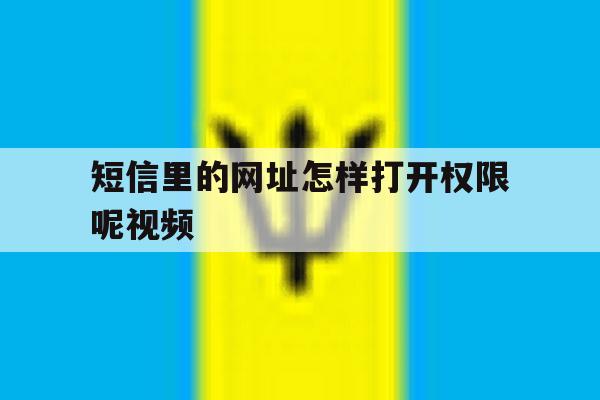 短信里的网址怎样打开权限呢视频 短信里的网址怎样打开权限呢视频