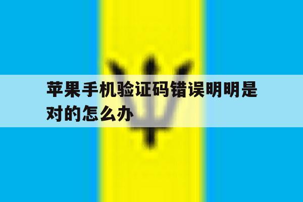 苹果手机验证码错误明明是对的怎么办 苹果手机验证码错误明明是对的怎么办