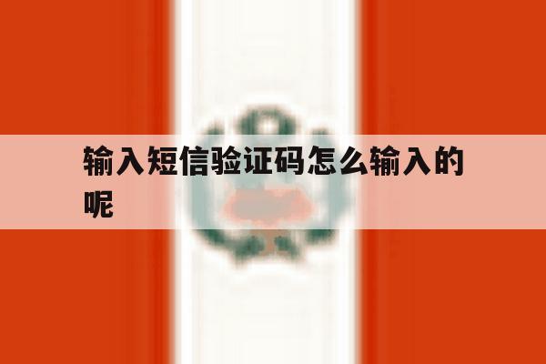输入短信验证码怎么输入的呢 输入短信验证码怎么输入的呢
