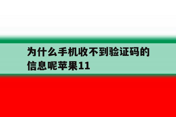 为什么手机收不到验证码的信息呢苹果11 为什么手机收不到验证码的信息呢苹果11