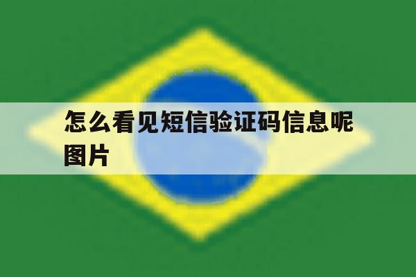 怎么看见短信验证码信息呢图片 怎么看见短信验证码信息呢图片
