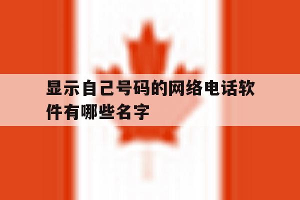 显示自己号码的网络电话软件有哪些名字 显示自己号码的网络电话软件有哪些名字