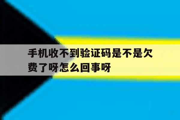 手机收不到验证码是不是欠费了呀怎么回事呀 手机收不到验证码是不是欠费了呀怎么回事呀