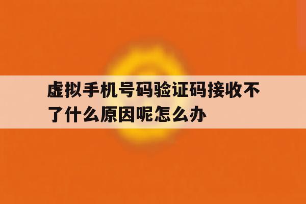 虚拟手机号码验证码接收不了什么原因呢怎么办 虚拟手机号码验证码接收不了什么原因呢怎么办