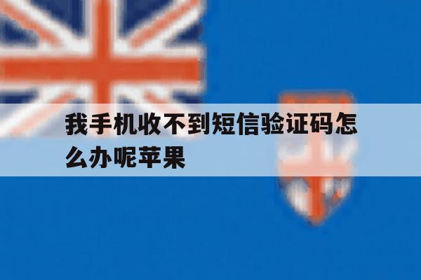 我手机收不到短信验证码怎么办呢苹果 我手机收不到短信验证码怎么办呢苹果