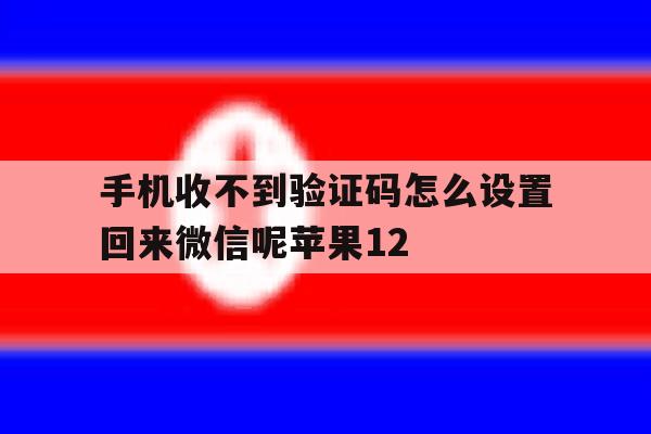 手机收不到验证码怎么设置回来微信呢苹果12 手机收不到验证码怎么设置回来微信呢苹果12