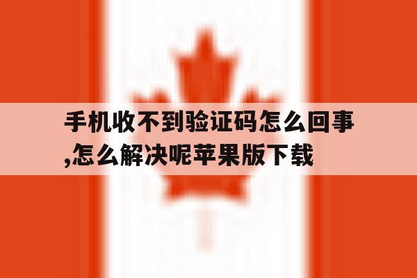 手机收不到验证码怎么回事,怎么解决呢苹果版下载 手机收不到验证码怎么回事,怎么解决呢苹果版下载