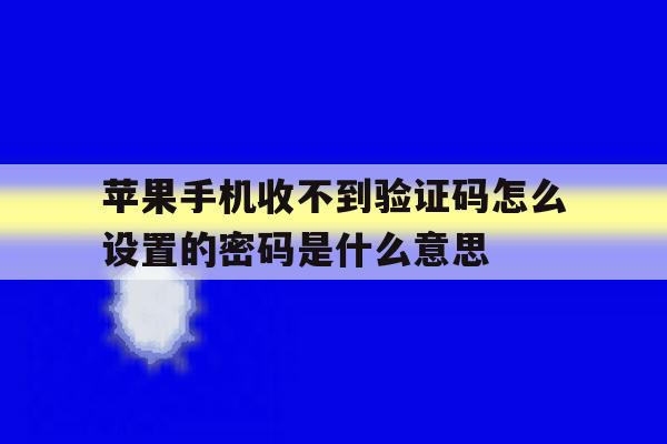 苹果手机收不到验证码怎么设置的密码是什么意思 苹果手机收不到验证码怎么设置的密码是什么意思