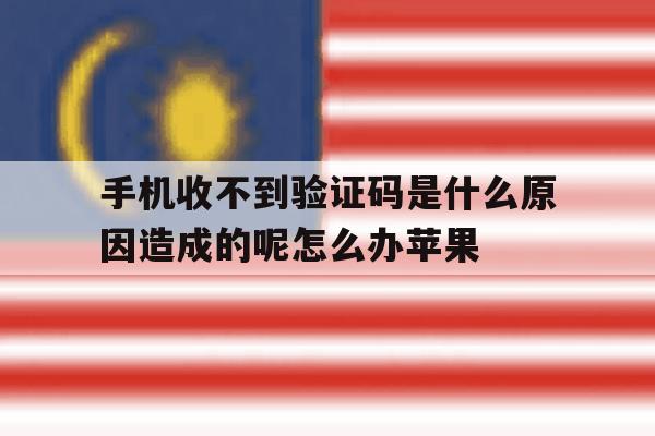 手机收不到验证码是什么原因造成的呢怎么办苹果 手机收不到验证码是什么原因造成的呢怎么办苹果