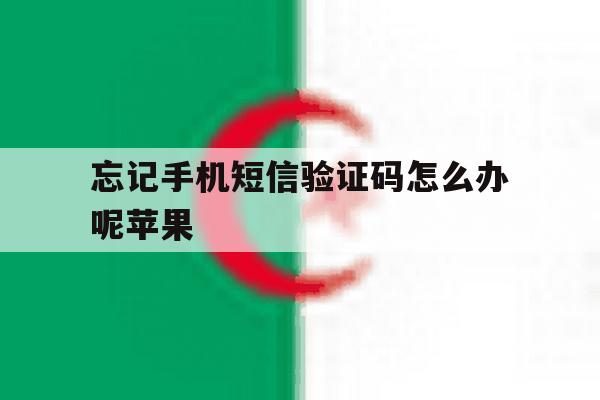 忘记手机短信验证码怎么办呢苹果 忘记手机短信验证码怎么办呢苹果
