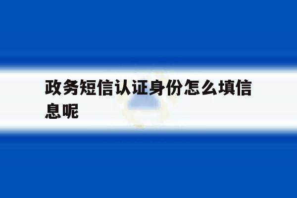 政务短信认证身份怎么填信息呢 政务短信认证身份怎么填信息呢