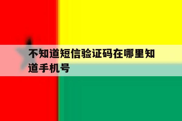 不知道短信验证码在哪里知道手机号 不知道短信验证码在哪里知道手机号