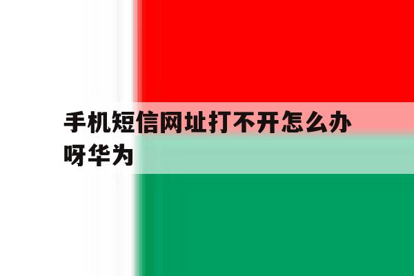 手机短信网址打不开怎么办呀华为 手机短信网址打不开怎么办呀华为