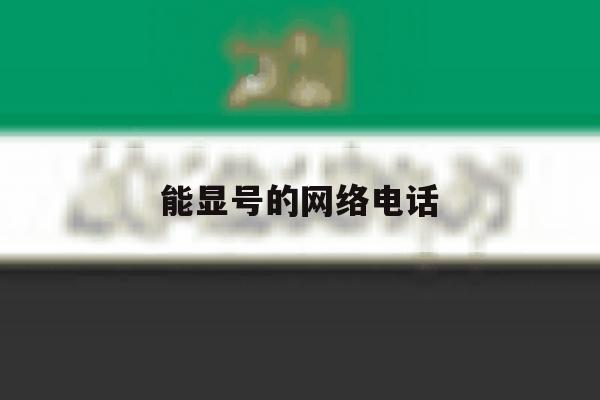 能显号的网络电话 能显号的网络电话