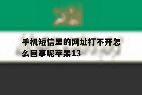 手机短信里的网址打不开怎么回事呢苹果13 手机短信里的网址打不开怎么回事呢苹果13