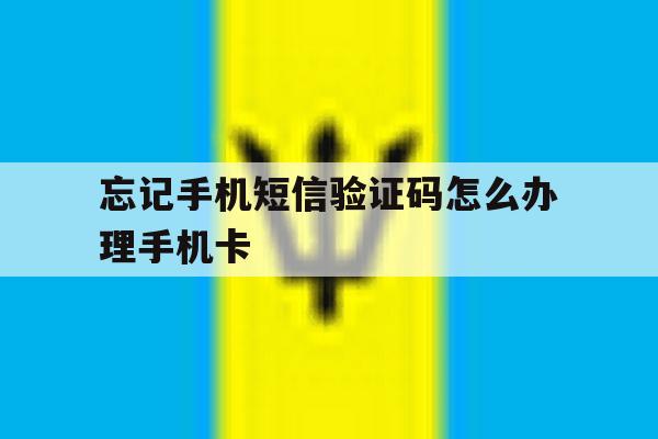 忘记手机短信验证码怎么办理手机卡 忘记手机短信验证码怎么办理手机卡