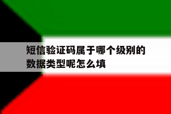短信验证码属于哪个级别的数据类型呢怎么填 短信验证码属于哪个级别的数据类型呢怎么填