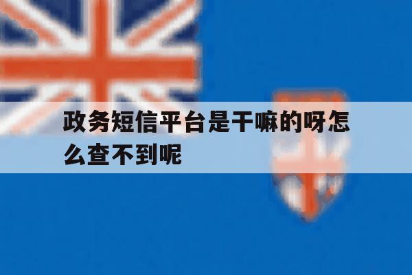政务短信平台是干嘛的呀怎么查不到呢 政务短信平台是干嘛的呀怎么查不到呢