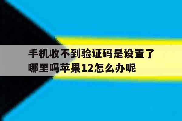 手机收不到验证码是设置了哪里吗苹果12怎么办呢 手机收不到验证码是设置了哪里吗苹果12怎么办呢