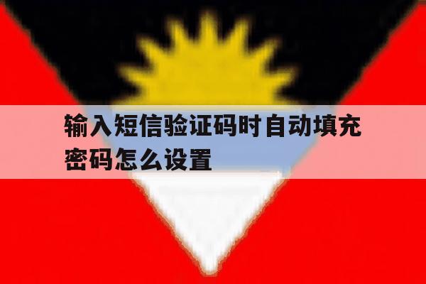 输入短信验证码时自动填充密码怎么设置 输入短信验证码时自动填充密码怎么设置