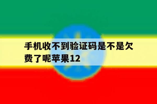 手机收不到验证码是不是欠费了呢苹果12 手机收不到验证码是不是欠费了呢苹果12
