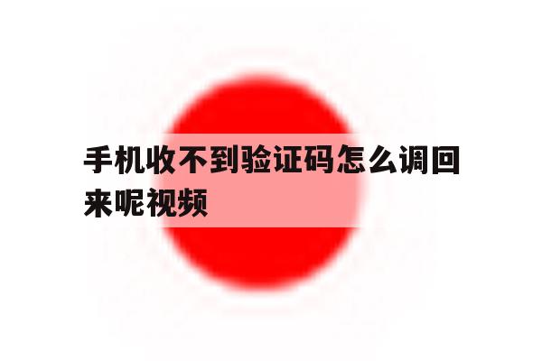 手机收不到验证码怎么调回来呢视频 手机收不到验证码怎么调回来呢视频