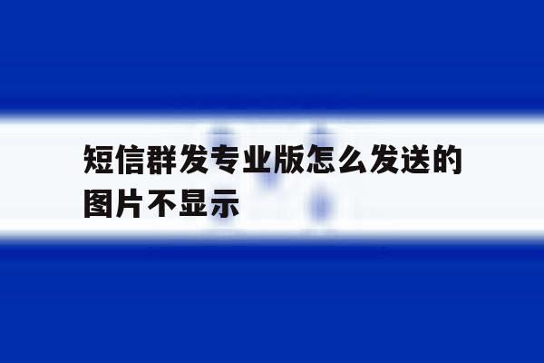 短信群发专业版怎么发送的图片不显示 短信群发专业版怎么发送的图片不显示