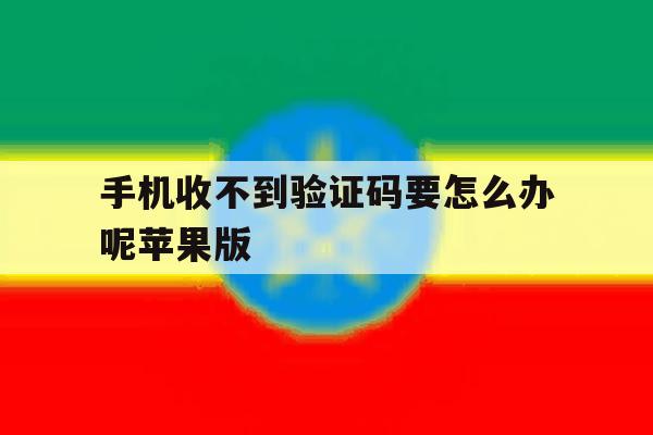 手机收不到验证码要怎么办呢苹果版 手机收不到验证码要怎么办呢苹果版