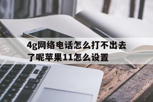 4g网络电话怎么打不出去了呢苹果11怎么设置 4g网络电话怎么打不出去了呢苹果11怎么设置