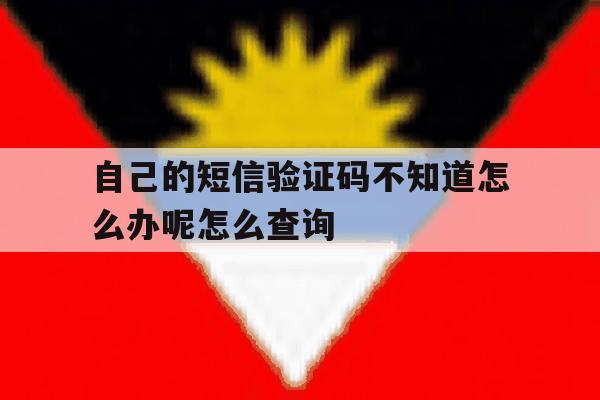 自己的短信验证码不知道怎么办呢怎么查询 自己的短信验证码不知道怎么办呢怎么查询