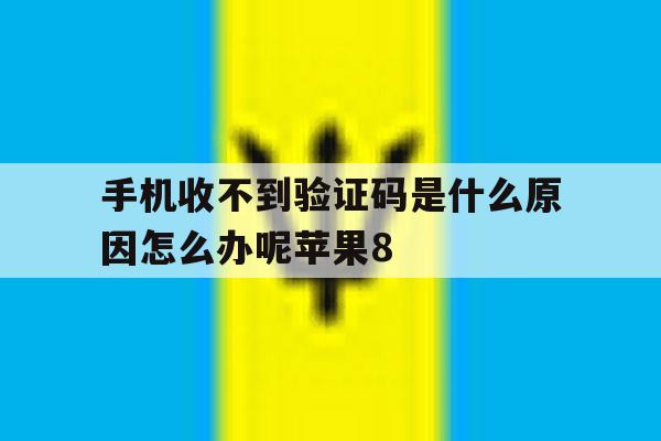 手机收不到验证码是什么原因怎么办呢苹果8 手机收不到验证码是什么原因怎么办呢苹果8