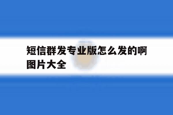 短信群发专业版怎么发的啊图片大全 短信群发专业版怎么发的啊图片大全