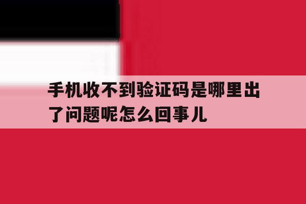 手机收不到验证码是哪里出了问题呢怎么回事儿 手机收不到验证码是哪里出了问题呢怎么回事儿