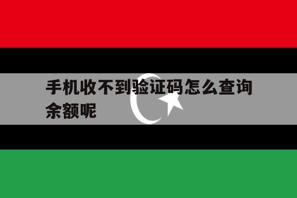 手机收不到验证码怎么查询余额呢 手机收不到验证码怎么查询余额呢