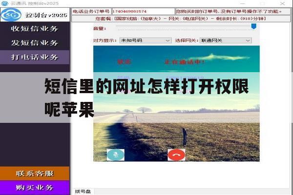 短信里的网址怎样打开权限呢苹果 短信里的网址怎样打开权限呢苹果