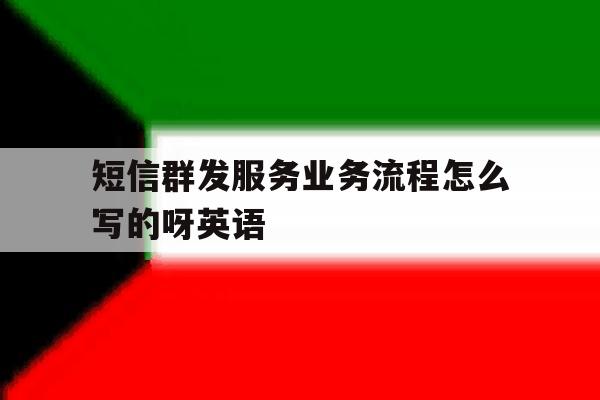 短信群发服务业务流程怎么写的呀英语 短信群发服务业务流程怎么写的呀英语